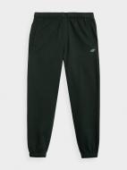 Брюки 4F TROUSERS CAS M291 4FAW22TTROM291-40S р. S зеленый