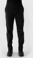 Брюки 4F SPODNIE FNK M483 4FWSS24TFTRM483-21S р. 3XL черный