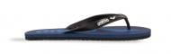 В'єтнамки Arena Flip flop 002309-109 р.41 синій