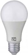 Лампа светодиодная HOROZ ELECTRIC 15 Вт A60 E27 175 В 6400 К 001-006-0015-013