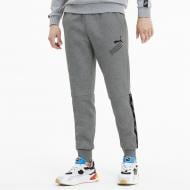 Брюки Puma AMPLIFIED Pants 58352503 р. S серый