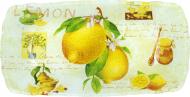 Блюдо прямоугольное Лимон 23x12 см S440609