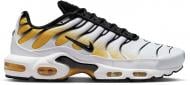 Кроссовки мужские Nike Air Max Plus DM0032-104 р.44 желтые