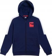 Джемпер Puma Boys Hooded Full-Zip FL 58486706 р. 128 синий