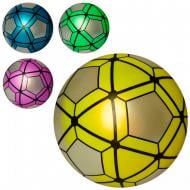 М'яч Футбол (4 вида) в асортименті 23 см MS 1898