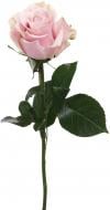 Роза Mondial одноголовая классическая 70 см розовый