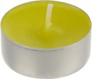 Набір свічок ароматичних Kyiv Candle Factory Лимон 6 шт. 7014