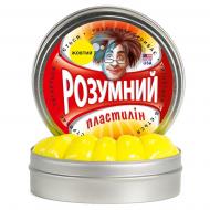 Умный пластилин Thinking Putty Желтый Умный пластилин Thinking Putty Желтый