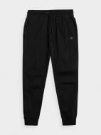 Брюки 4F TROUSERS CAS M293 4FAW22TTROM293-20S р. 2XL черный