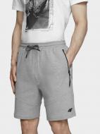 Шорты 4F D4L20-SKMD202-25M р. L серый