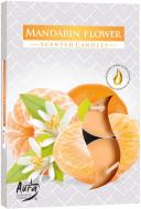 Набор свечей ароматических Bispol Мандарин 51168369