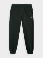 Штани 4F TROUSERS CAS M291 4FAW22TTROM291-40S р. 2XL зелений
