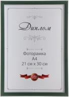 Рамка для фото Арт-Сервіс ЭА-00053 1 фото 21х30 см зеленый