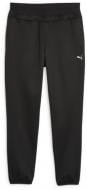 Штани Puma PUMA STRONG POWERFLEECE JOGGER 52387701 р. S чорний