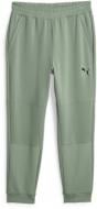Брюки Puma PUMA FIT DOUBLE KNIT JOGGER 52387844 р. XL зеленый