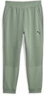 Брюки Puma PUMA FIT DOUBLE KNIT JOGGER 52387844 р. S зеленый