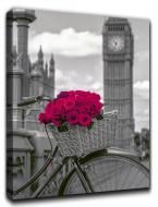 Репродукція AF London 215C01 60x80 см RozenfeldArt