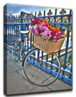 Репродукція AF Bicycles 178-Edit 60x80 см RozenfeldArt