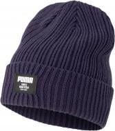 Шапка Puma Ribbed Classic Beanie 02283102 р.one size синий