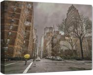 Репродукція AF New York 077C02 60x80 см RozenfeldArt