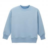 Свитшот для девочки LOGOS детский базовый тринитки петли р.146 голубой 14-01-00-0020