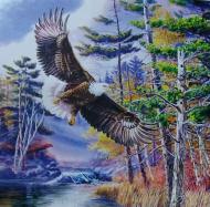 Набор для творчества со стразами на подрамнике Мощные крылья 30x30 см 189245 Діамантові ручки