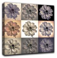 Репродукція AF20110818 Dahlia Set 02 80x80 см RozenfeldArt