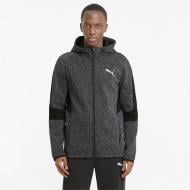 Джемпер Puma EVOSTRIPE FZ Hoodie 58581101 р. S черный