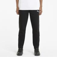 Брюки Puma EVOSTRIPE Pants 58581301 р. XL черный