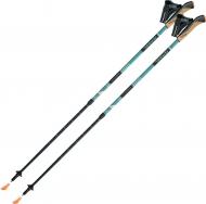 Палиці для скандинавської ходьби Gabel Stretch Lite A.I. Avio (7008352490000) DAS303677