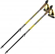 Палиці для скандинавської ходьби Vipole High Performer Carbon (S25 33) DAS303501