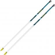 Секция палок для скандинавской ходьбы Vipole Asta Power Steps Blue 125 (SW20 01) DAS303436