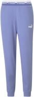 Брюки Puma AMPLIFIED Pants 58591614 р. XS фиолетовый Брюки Puma AMPLIFIED Pants 58591614 р. XS фиолетовый