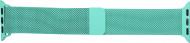 Ремешок Armorstandart Milanese Loop Band для Apple Watch All Series 42/44 mm mint green ARM55260