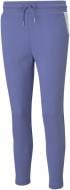 Брюки Puma EVOSTRIPE Pants 58594814 р. XS фиолетовый Брюки Puma EVOSTRIPE Pants 58594814 р. XS фиолетовый