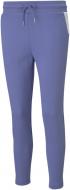 Брюки Puma EVOSTRIPE Pants 58594814 р. L фиолетовый Брюки Puma EVOSTRIPE Pants 58594814 р. L фиолетовый