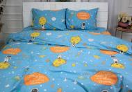 Наволочка Ranforce Elite 17-0426 Little astronaut 70x70 см мульті MirSon