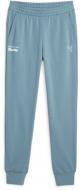 Штани Puma PL ESS PANTS 62103002 р. L блакитний