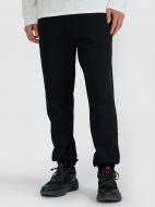 Брюки 4F TROUSERS CAS M1234 4FWAW25TTROM1234-20S р. L черный Брюки 4F TROUSERS CAS M1234 4FWAW25TTROM1234-20S р. L черный