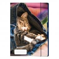 Папка картонная на резинке А4 Jeans Cat Котик 50030972С Herlitz