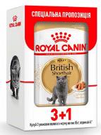 Корм вологий для дорослих котів породи Британська короткошерста Royal Canin British Shorthair Adult 3+1 шт. 85 г