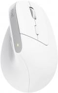 Мышь Trust Bayo 2 Ergonomic WL/USB-A white (25146_TRUST)