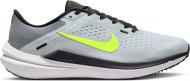 Кроссовки мужские демисезонные Nike WINFLO 10 DV4022-007 р.44