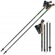 Трекінгові палиці Gabel