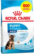 Корм сухий Royal Canin Maxi Puppy 3,2 кг + 800 г