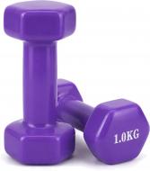 Набор гантелей Feel Fit DT291 с виниловым покрытием 2х1 кг фиолетовый