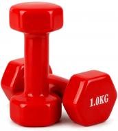 Набор гантелей Feel Fit DT293 с виниловым покрытием 2х1 кг красный