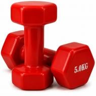 Набор гантелей Feel Fit DT304 с виниловым покрытием 2х5 кг красный Набор гантелей Feel Fit DT304 с виниловым покрытием 2х5 кг красный