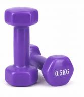 Набор гантелей Feel Fit DT288 с виниловым покрытием 2х0,5 кг фиолетовый