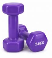 Набор гантелей Feel Fit DT294 с виниловым покрытием 2х2 кг фиолетовый